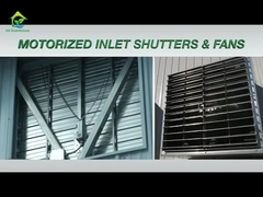 Poly Tünel Işık Yoksunluğu Elektrikten Yoksunluk Çiftlik için Sera