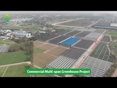 Poli Plastik Film Tüneli Çok Açıklıklı Tarımsal Sebze Yetiştirme Serası