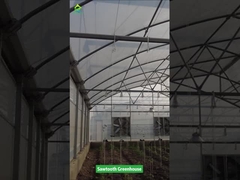 Testere Dişli Tasarımlı Tropikal Plastik Film Sera