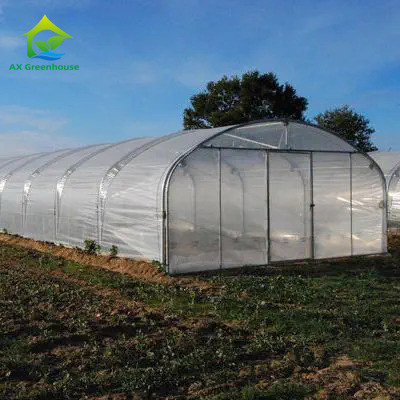 Yüksek Güçlü Kolay Kurulum Poly Tunnel Sera Böcek Önleme Üretimi Artır