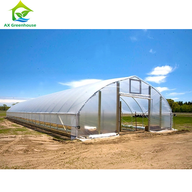Yüksek Güçlü Kolay Kurulum Poly Tunnel Sera Böcek Önleme Üretimi Artır