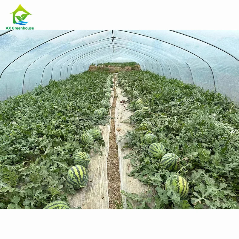 Yüksek Güçlü Kolay Kurulum Poly Tunnel Sera Böcek Önleme Üretimi Artır