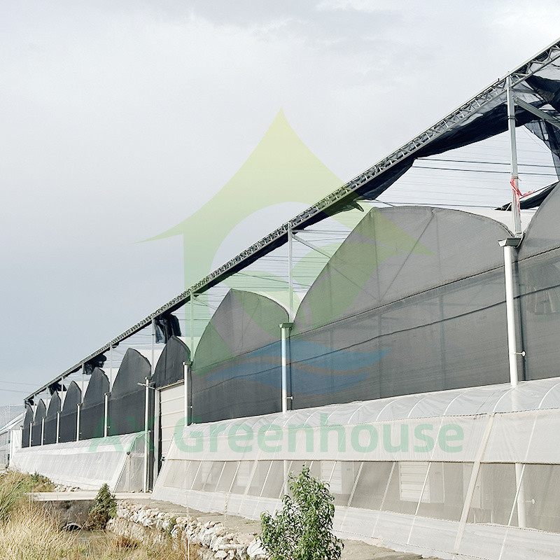 Plastik PE Film Multi Span Domates Poly Tunnel Sera Meyve Sebzeler için Gölge Ağı ile
