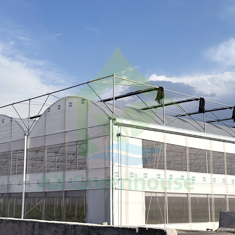 Plastik PE Film Multi Span Domates Poly Tunnel Sera Meyve Sebzeler için Gölge Ağı ile