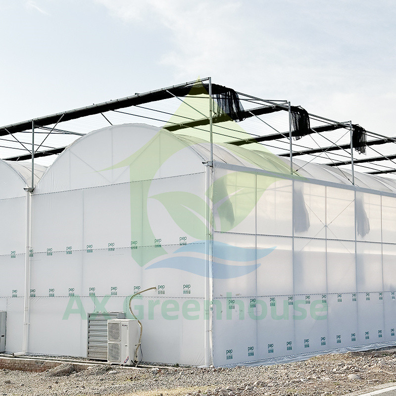 Plastik PE Film Multi Span Domates Poly Tunnel Sera Meyve Sebzeler için Gölge Ağı ile