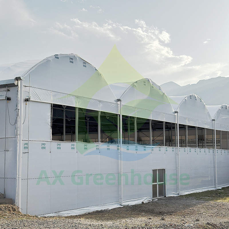 Plastik PE Film Multi Span Domates Poly Tunnel Sera Meyve Sebzeler için Gölge Ağı ile