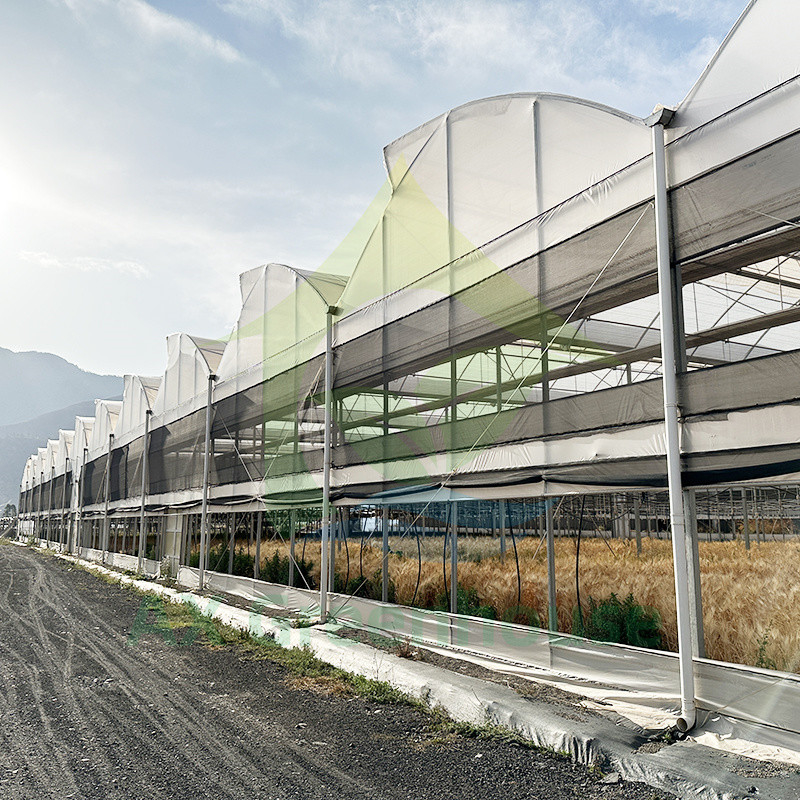 Plastik PE Film Multi Span Domates Poly Tunnel Sera Meyve Sebzeler için Gölge Ağı ile