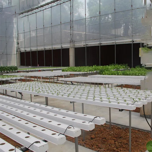 Topraksız Kapalı Çiftlik Çilek Büyüyen PVC Tüpleri Hidroponik için Satılık NFT Sistemi