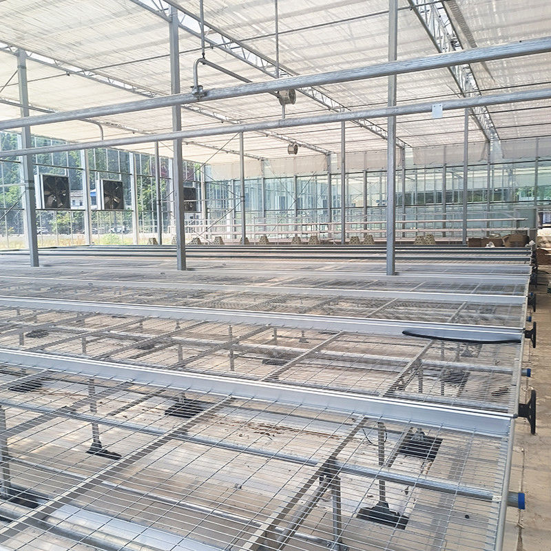 Kolay Yapım Avantajı ve Sıcak Galvanizli Çelik Çerçeve Yapısı ile Özel Sermaye Dolaşımlı Bench Büyüme Masası