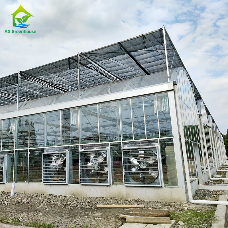 Akıllı Kontrol Sistemi Sebzeler İçin Kalıcı Sera 9.6m/10.8m/12m Genişlik