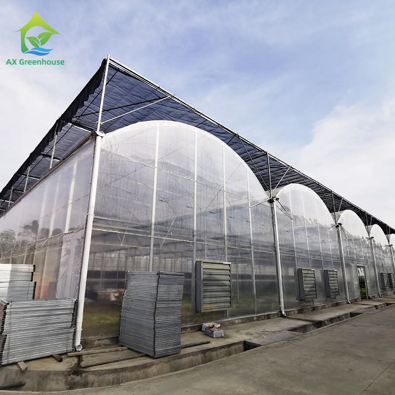 UV direnci 30x10m Film kaplı domates ve sebze için plastik film sera