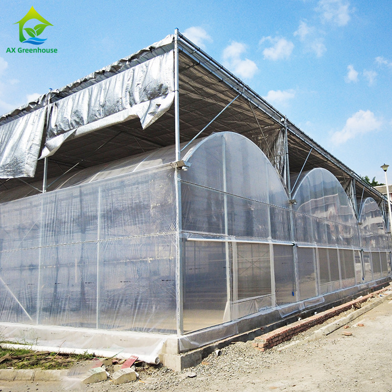 Kalıcı Sıcak Dip Galvanizli Çelik Multi-Span Plastik Film Tarımsal Sera Meyve için