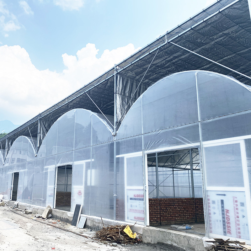 Kalıcı Sıcak Dip Galvanizli Çelik Multi-Span Plastik Film Tarımsal Sera Meyve için