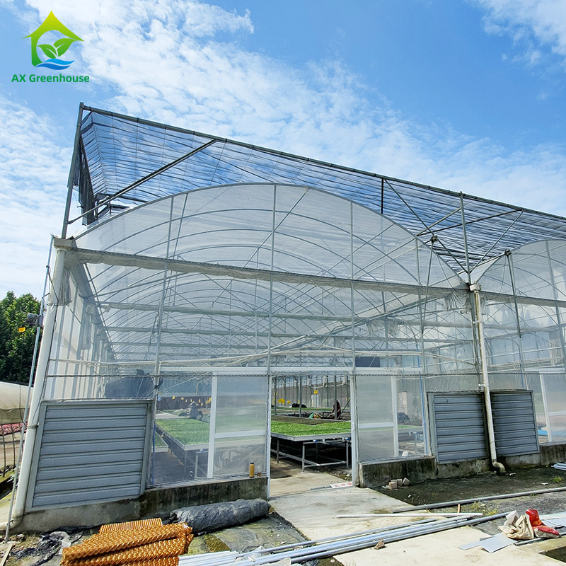 Kalıcı Sıcak Dip Galvanizli Çelik Multi-Span Plastik Film Tarımsal Sera Meyve için