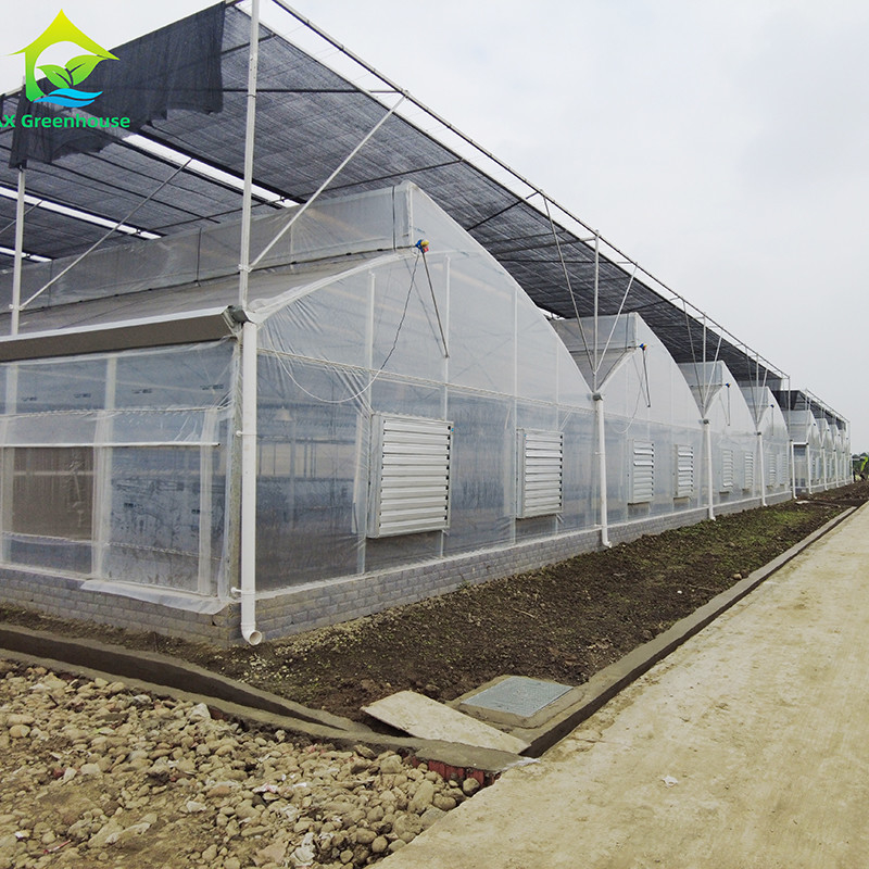 Kalıcı Sıcak Dip Galvanizli Çelik Multi-Span Plastik Film Tarımsal Sera Meyve için