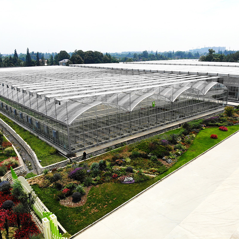 Kalıcı Sıcak Dip Galvanizli Çelik Multi-Span Plastik Film Tarımsal Sera Meyve için