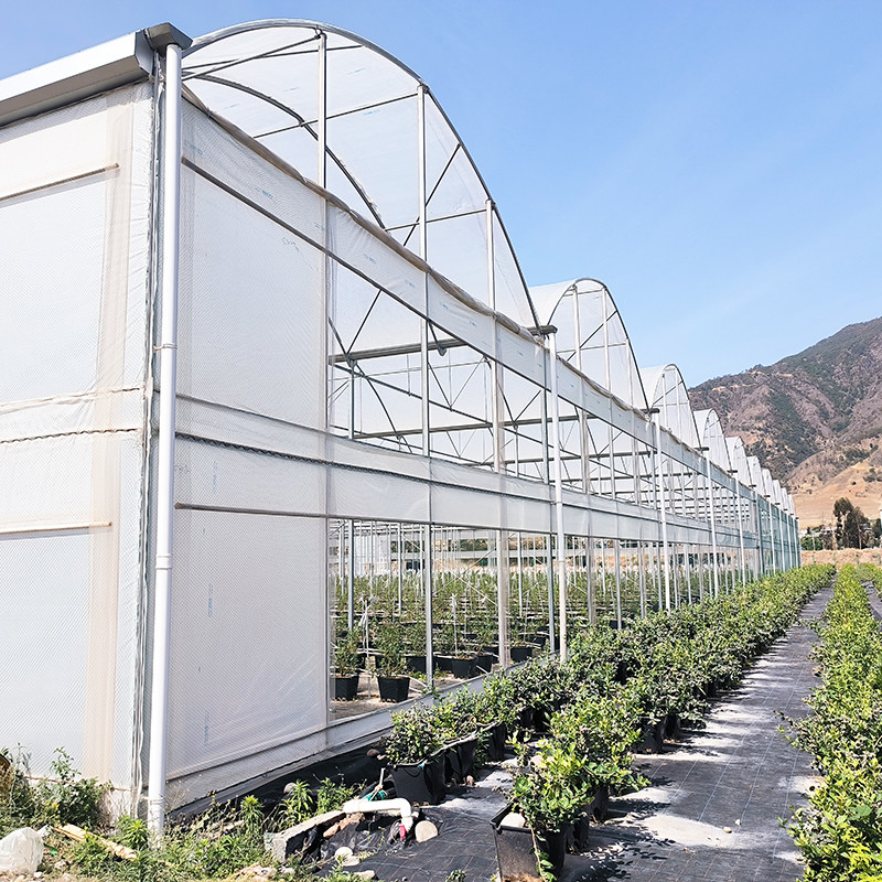 UV direnci 30x10m Film kaplı domates ve sebze için plastik film sera
