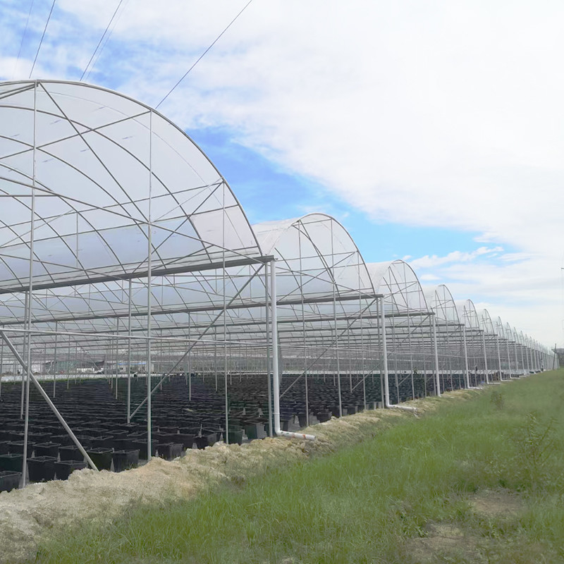 UV direnci 30x10m Film kaplı domates ve sebze için plastik film sera