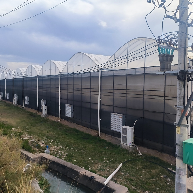 Çelik Yapı Tarımsal Poly Tünel Siyah Gölgelendirme Seçenekli Soğutma Sistemiyle Çoklu Aralıklı Sera