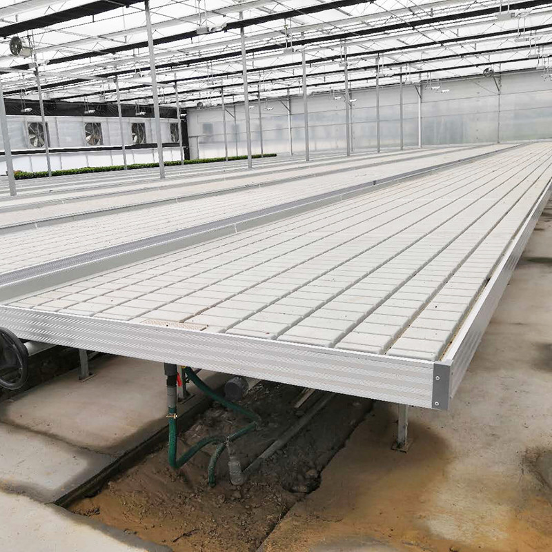 Ebb Flow Custom Double Layers Flood Grow Table Seedbed Rolling Bench Hareketli ve Çiçekler için Uygun