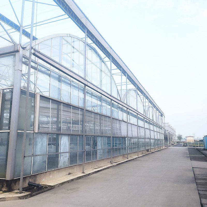 Endüstriyel Tarım Lüks Venlo Tempered Glass House Stabil Yapısı ve Isıtma Sistemi Olan Otlu Sera