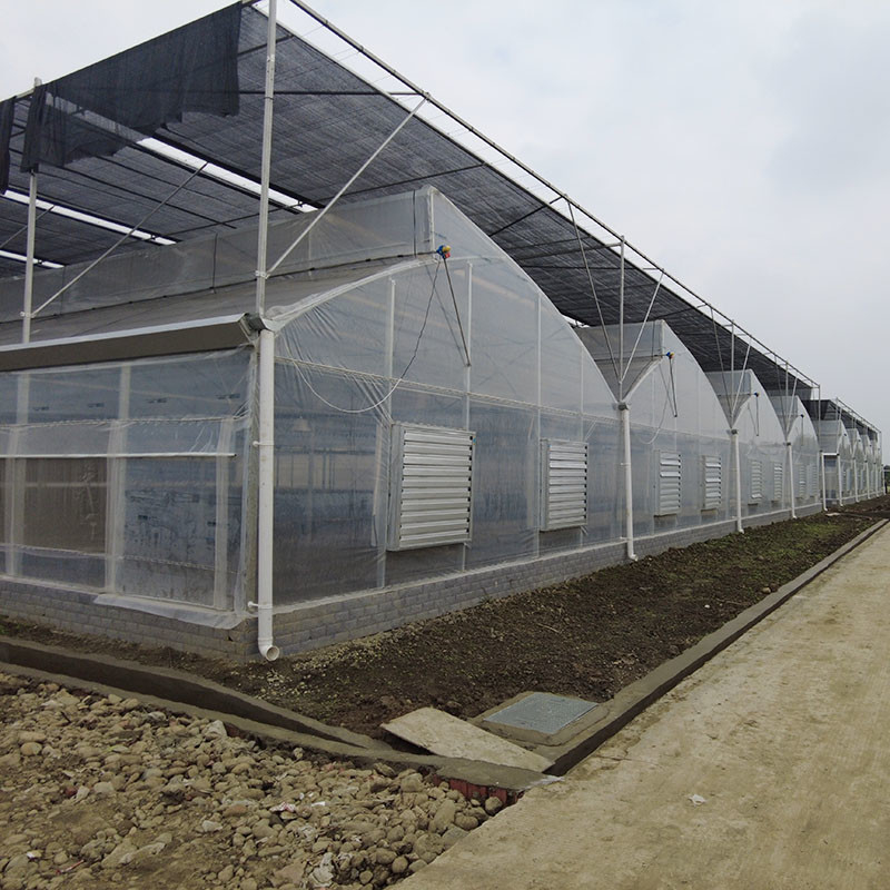 Plastik UV Film Poly Tünel Tarımsal Çakmak Dişli Çok Aralıklı Özel Sera Satılıyor