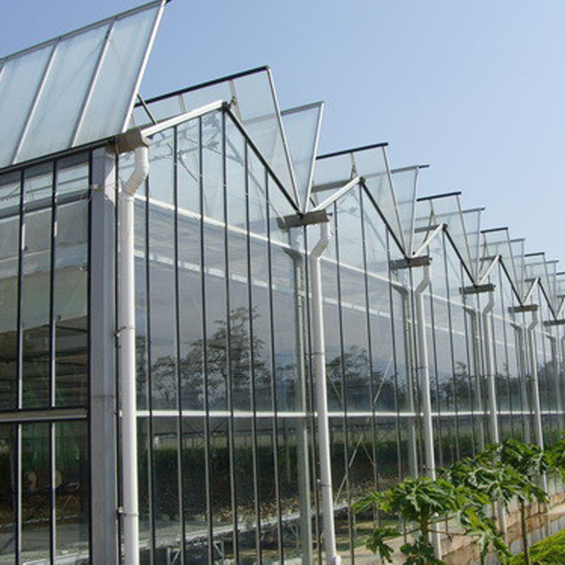 Akıllı Tarım Venlo Tipi Tarımsal Tempered Glass Büyük Tünel Çok Aralıklı Sera