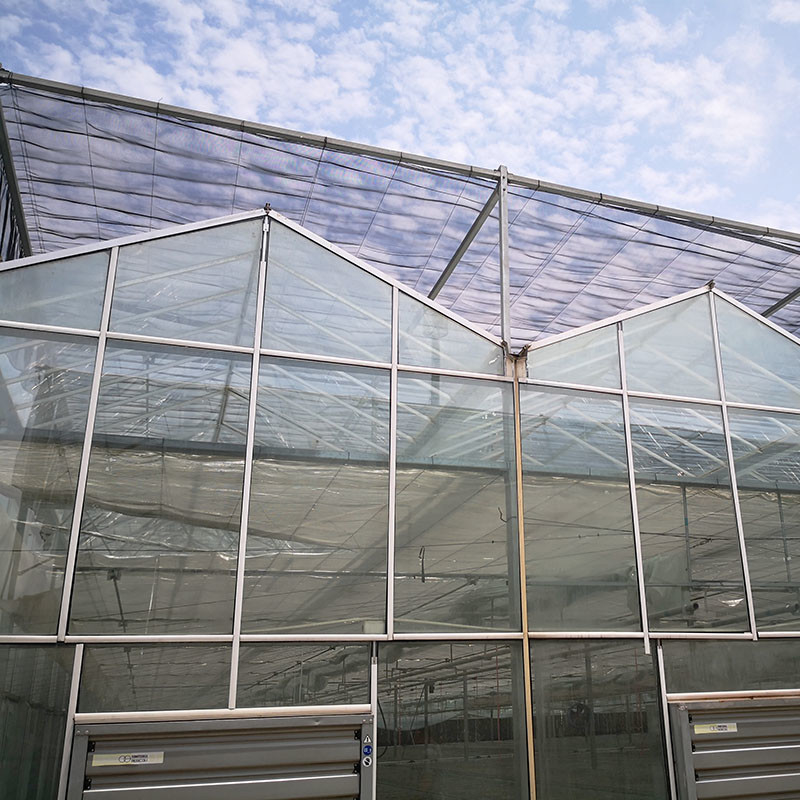 Akıllı Tarım Venlo Tipi Tarımsal Tempered Glass Büyük Tünel Çok Aralıklı Sera