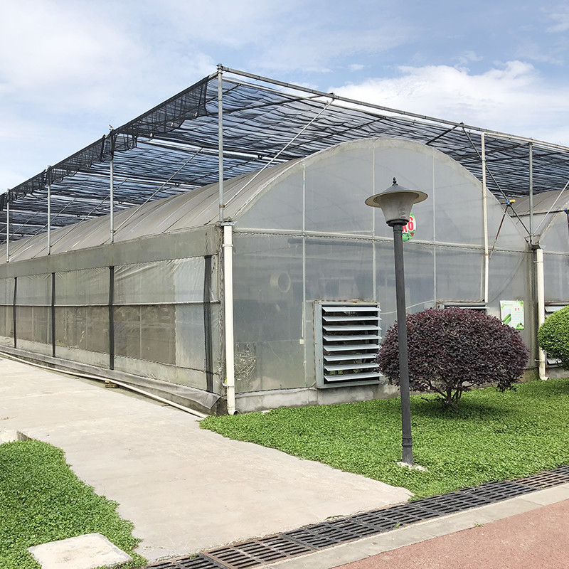 Çelik Yapı Büyük Tünel Özel Çok Aralıklı Plastik Blueberry Büyüyen Seralar Istikrarlı Yapı için