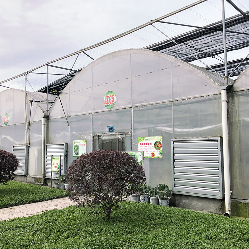 Çelik Yapı Büyük Tünel Özel Çok Aralıklı Plastik Blueberry Büyüyen Seralar Istikrarlı Yapı için