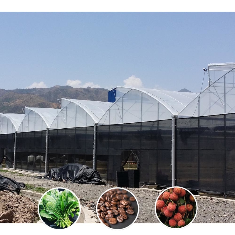 Plastik UV Film Poly Tünel Tarımsal Çakmak Dişli Çok Aralıklı Özel Sera Satılıyor