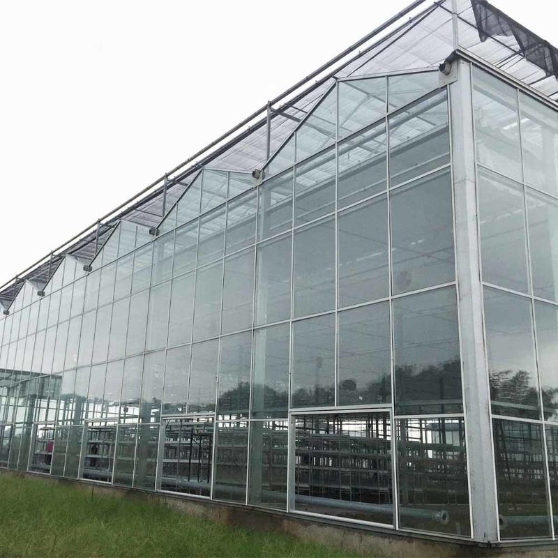 Üçgen Çatı Kalıplandırması ve Havalandırma için Üst Taraf Havalandırması ile Multi Span Venlo Stili Cam Tarımsal Sera
