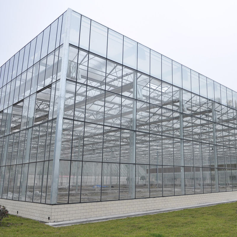 Venlo Tipi Tarımsal Cam Sera Tempered Panels Galvanize Çelik Çerçeve Salata yetiştirme için