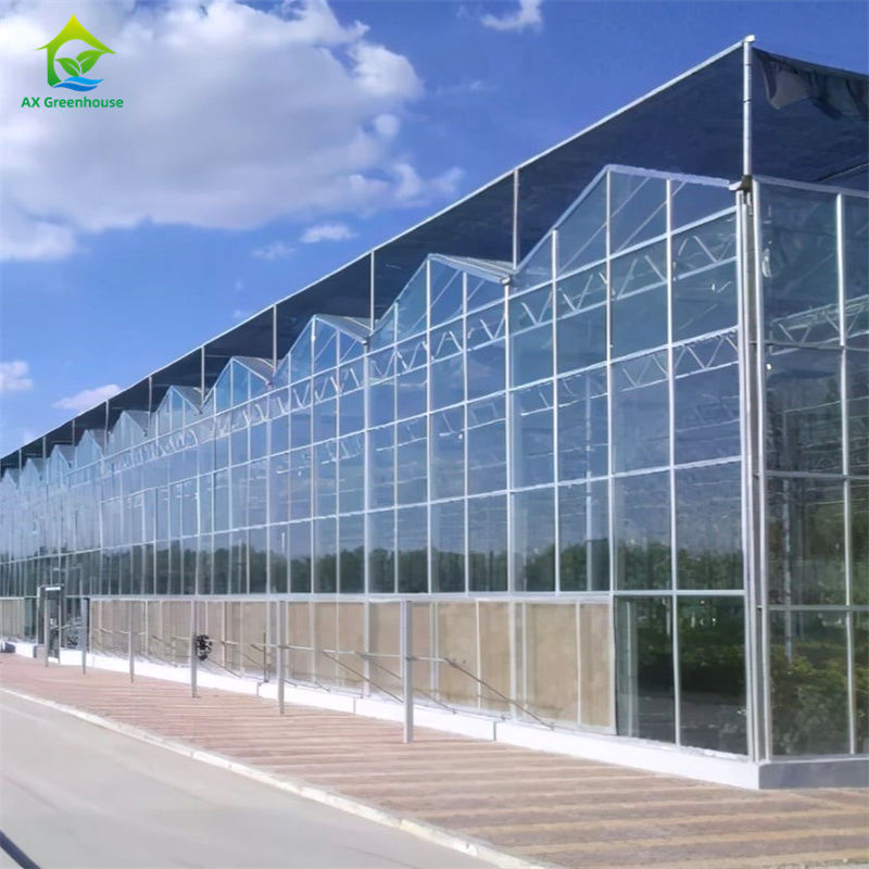 Sabit cam polikarbonat seralarda sebze çilek yetiştirme ekipmanları - Hepsi bir sera kitinde