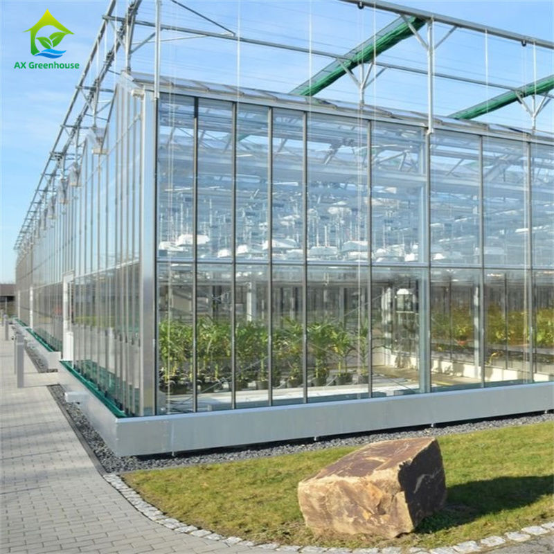 Sabit cam polikarbonat seralarda sebze çilek yetiştirme ekipmanları - Hepsi bir sera kitinde