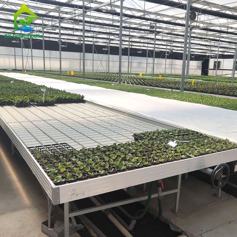 Commercial Aluminum Frame Ebb & Flow Bench with Adjustable Height and Integrated PP/ABS Tray for Greenhouses