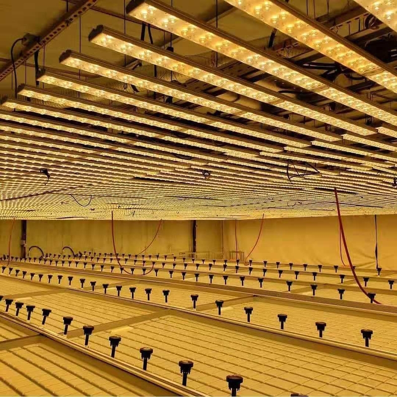 0.71-1.78m Genişlik Sera Yuvarlanan Banklar Ebb ve Akış Topraksız Taşkın Tablosu