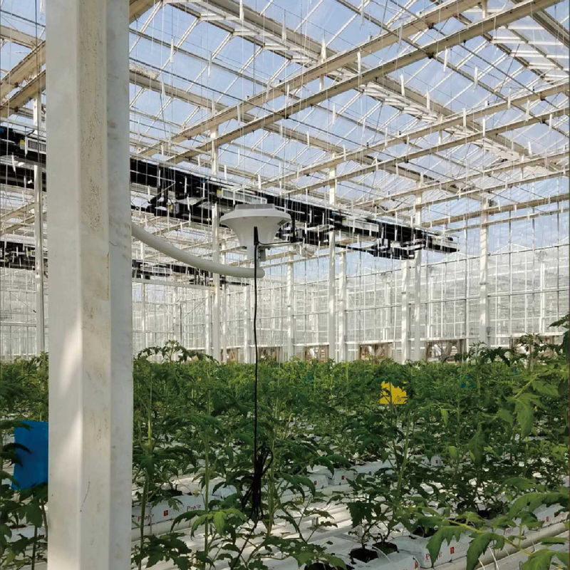 Akıllı sera izleme sistemi, en iyi iklim kontrolü için AC220V Güç ve 0 ~ 50000 PPM CO2 konsantrasyon ölçerine sahip