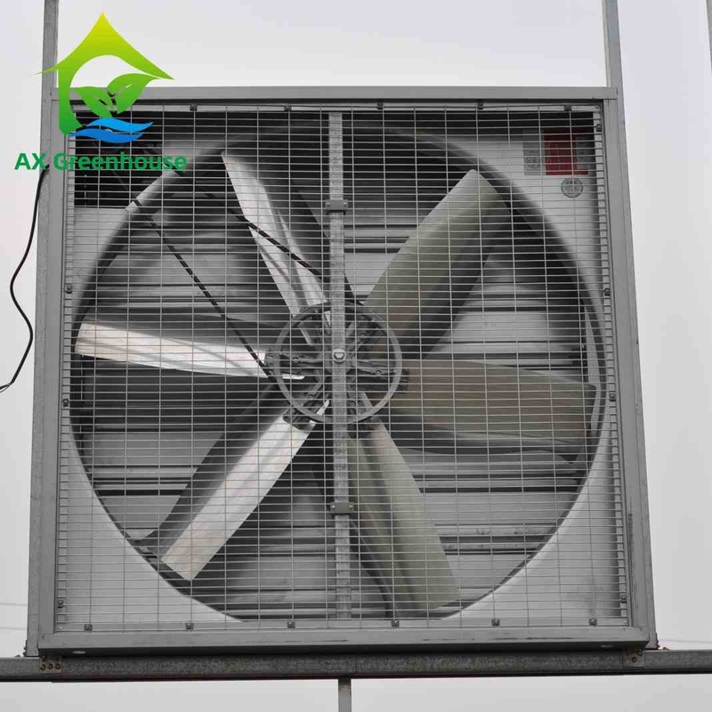 Dia 500-1250mm Bıçaklı Islak Duvar Egzoz Fanları Endüstriyel Duvar Tipi Aspiratör Fanları