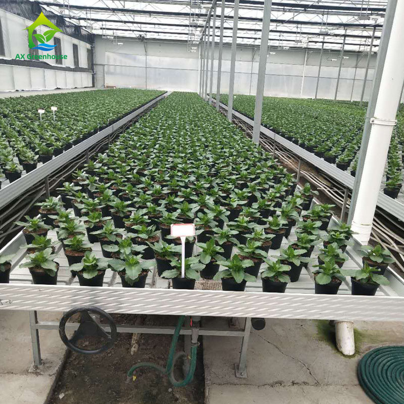 Dayanıklı Ekoloji Dostu Sera Yuvarlakları, Özel Boyutlarda ABS Plastik Yaprak ve Alüminyum Alaşım Çerçeve ile