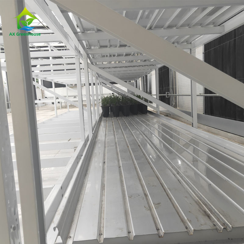 Vertikal Tarım için Özel Kapalı Çift Katmanlı Bitki Tıbbi Bitki Büyütme Rack